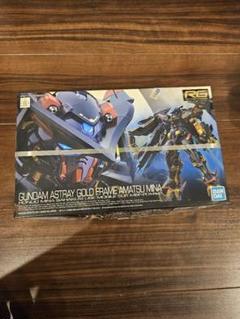 RG ガンダムアストレイ ゴールドフレーム天ミナ