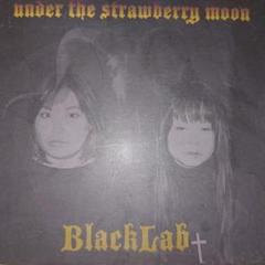 BlackLab / under the strawberry moon 自主盤