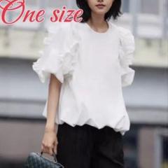 今期FEUILLE tops_3 ブラウス