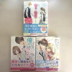携帯小説 恋愛小説 まとめ売り バラ売りも可能