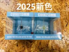 2025年最新】コイケ17mmの人気アイテム - メルカリ