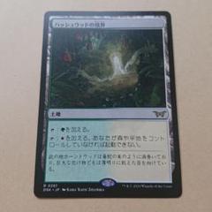 mtg ボーダーレス FOIL 4枚 ハッシュウッドの境界 英語版 dsk mtg ボーダーレス FOIL 4枚 ハッシュウッドの境界 英語版 dsk