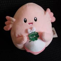 ポケモンローカルActs 物産展オリジナル ぬいぐるみ ラプラス&ラッキー ポケモンローカルActs ラプラス&ラッキー 物産展オリジナル ぬいぐるみ