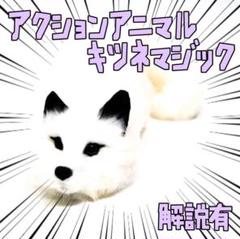 2025年最新】Lucky_Raccoonの人気アイテム - メルカリ