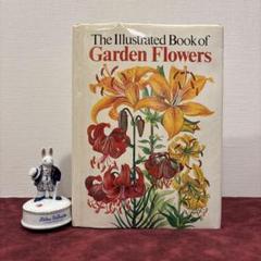 L-810 洋書古書 とても素敵なドイツの古い植物図鑑