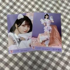 佐々木舞香　直筆　生写真 猫 イコラブ 佐々木舞香 猫 生写真 - メルカリ