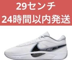 29 Nike Giannis Freak 6 FJ7807-102 ヤニス NIKE GIANNIS FREAK 6 EP FJ7807 102 メンズ ホワイト 白 グレー