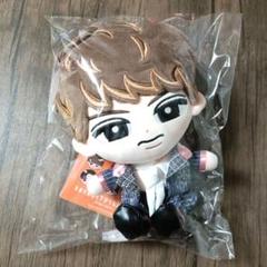 【未開封&美品】Man 向井康二 チルぬい&アクキー&ステッカー Snow Man すのチル BIG ぬいぐるみ 向井康二 ちるぬい グッズ