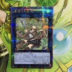 遊戯王　蒼翠の風霊使いウィン　25thシークレット 蒼翠の風霊使いウィン【シークレット】{QCCU-JP188}《リンク》