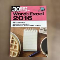 30時間でマスターWord & Excel 2016