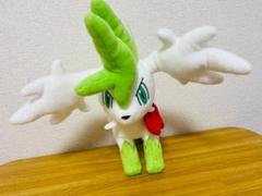 ポケモンフォーカス 〈すがたが変わるポケモン〉～シェイミ（スカイフォルム）～
