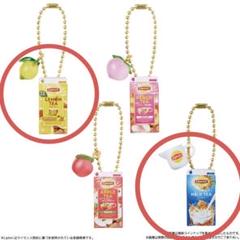 リプトン Lipton ミニチュアチャーム グミ ミルクティー レモンティー
