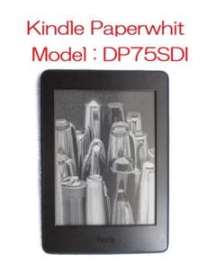 2025年最新】DP75SDIの人気アイテム - メルカリ