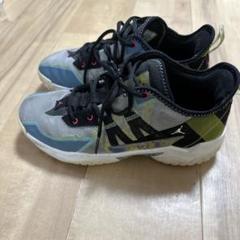 NIKE ジョーダン27cm