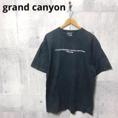grand canyon オールド グランドキャニオン anvilボディTシャツ