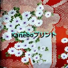 カネボウプリント 和模様柄 和柄絞り柄 菊柄 約105×155