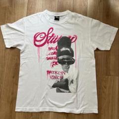 Stussy ステュシー Tシャツ　BROOKLYN Venice