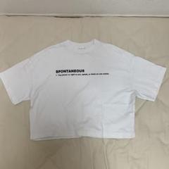 半袖 パタゴニア Tシャツ