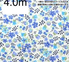 リバティ　タナローン　4.0m エデナムネオン 生地