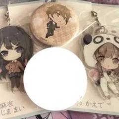 青ブタ セット 4点