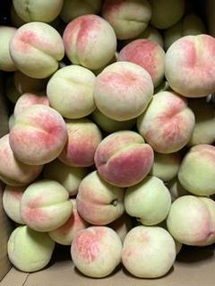 ㉒若桃 大きめ 箱込み6.5kg 若桃(摘果桃)5kg：岡山県産の白桃｜食べチョク｜産地直送(産直