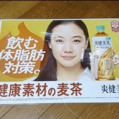 大型配送タイプ】蒼井優さん掲載ページSET（ポスターサイズ
