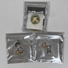 ハイキュー展 アクスタmini ピンズ まとめ売り