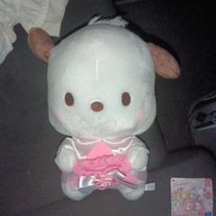 ポチャッコ　推しウェディングBIGぬいぐるみ