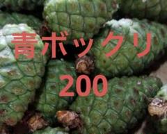 2025年最新】青ぼっくりの人気アイテム - メルカリ