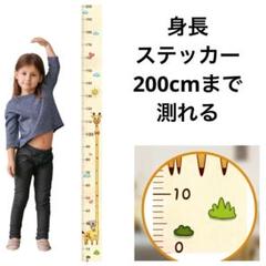キリンB コアラ 子供身長計 身長測定 壁貼り身長計 測定範囲0-200m