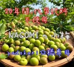 NAGOMI 無農薬 小梅 『yadokari☆』10kg NAGOMI 無農薬 小梅 『yadokari☆様専用』10kg