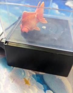 【希少】出目金 ソーラーで泳ぐ金魚 置物 カラクリ金魚 Amazon.co.jp: ひかりとみずのカラクリ金魚 (黒出目金) : ペット用品