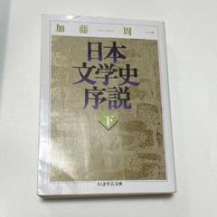 日本文学史序説 下