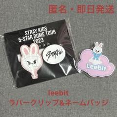 Stray Kids - stray kids リービット❤︎クッション stray kids スキズ リービット leebit クッション ブランケット