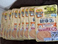 猫　健康缶パウチエイジングケアまぐろ味のサムネイル