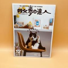 美品❣️散歩の達人 【人生は猫だらけ】