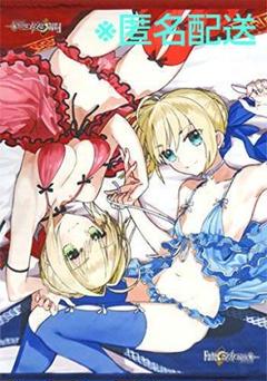 Fate/EXTELLA　タペストリー　ソフマップ　FGOフェイト／エクストラ