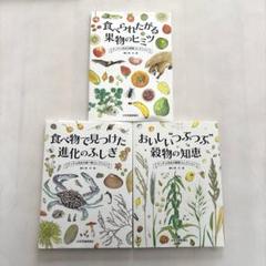 【中古】 生きた授業をつくる体育の教材づくり/大修館書店/山本貞美 ○01)【同梱不可】生きた授業をつくる体育の教材づくり/山本貞美