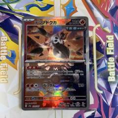 テツノドクガ　マスターボール　テラスタルフェス