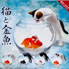 匿名配送 奇譚クラブ ネコ金魚ストラップ 全10種 コンプリート 匿名配送 奇譚クラブ ネコ金魚ストラップ 全10種 コンプリート
