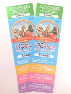 浅草花やしき 入園券+乗り物券