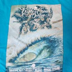 楽天市場】トリプルクラウン vans（Tシャツ・カットソー