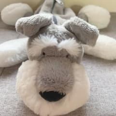 Nici ペンケース シュナウザーの中古 未使用品を探そう メルカリ