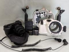 OLYMPUS - 水中カメラ　ハウジング　ストロボ　フルセット　ダイビング　オリンパス Olympus TG-6：フル装備でワイドから極小マクロまで水中撮影して