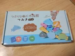 つぶらな瞳の水族館つみき2