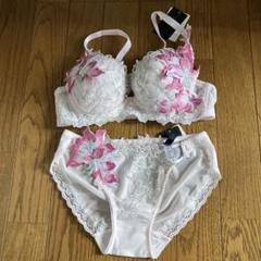 サルート2024SS 12G P-upブラジャーD70&ノーマルショーツMセット サルート2024SS 12G P-upブラジャーD70&ノーマルショーツMセット