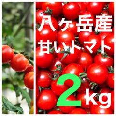 八ヶ岳(長野県) 産 ミニトマト 約2kg 味が濃い 免疫力UPに