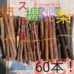 小動物かじり木 柿 梨 桃 スモモ 欅の木60本!