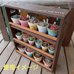 2025年最新】多肉棚 屋根の人気アイテム - メルカリ