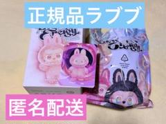 ラブブ loyalty